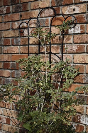 Deco trellis small